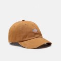 Kšiltovka Dickies Prago Union LOGO PU..brown | Fanshop Prago Union
